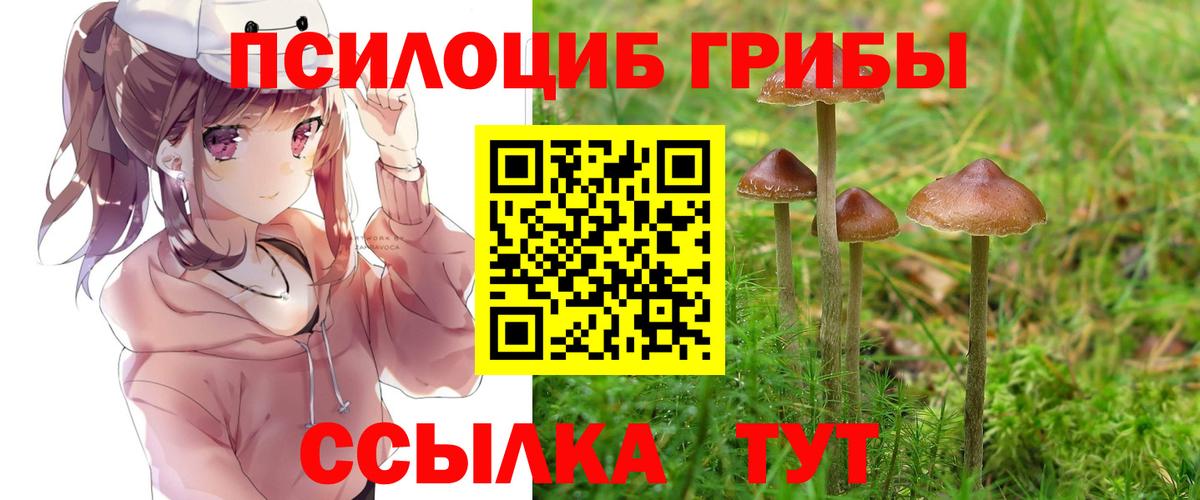 Азов  Псилоцибиновые грибы Psilocybine cubensis  хочу   Вход с VPN 