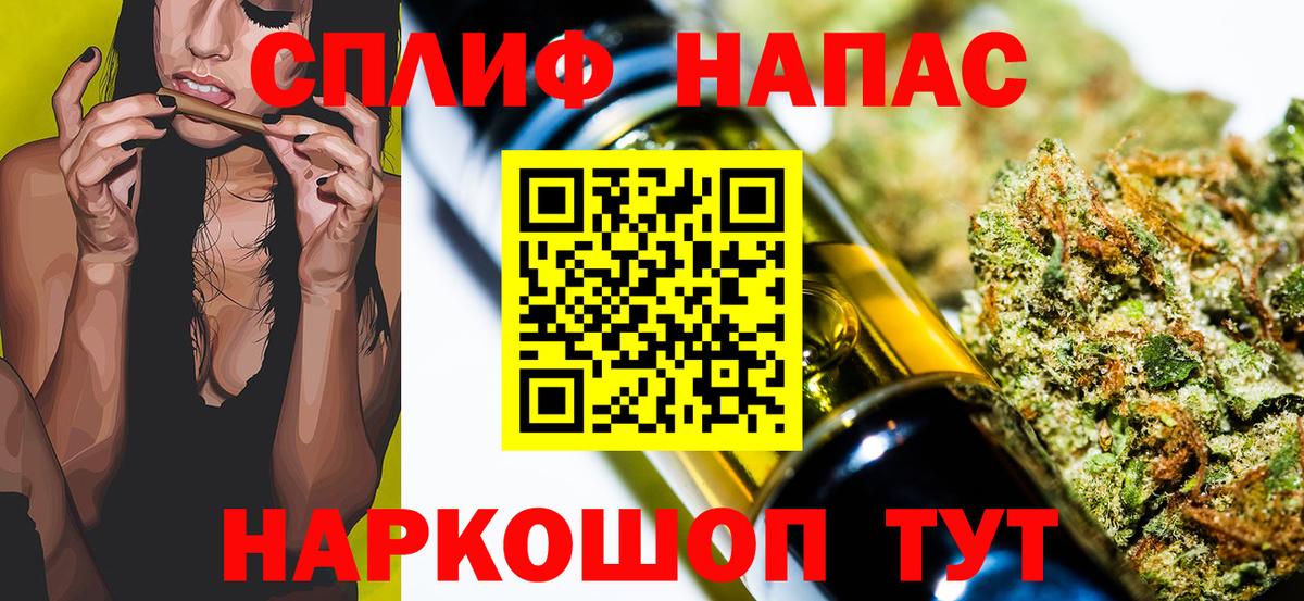 Конопля гибрид Азов